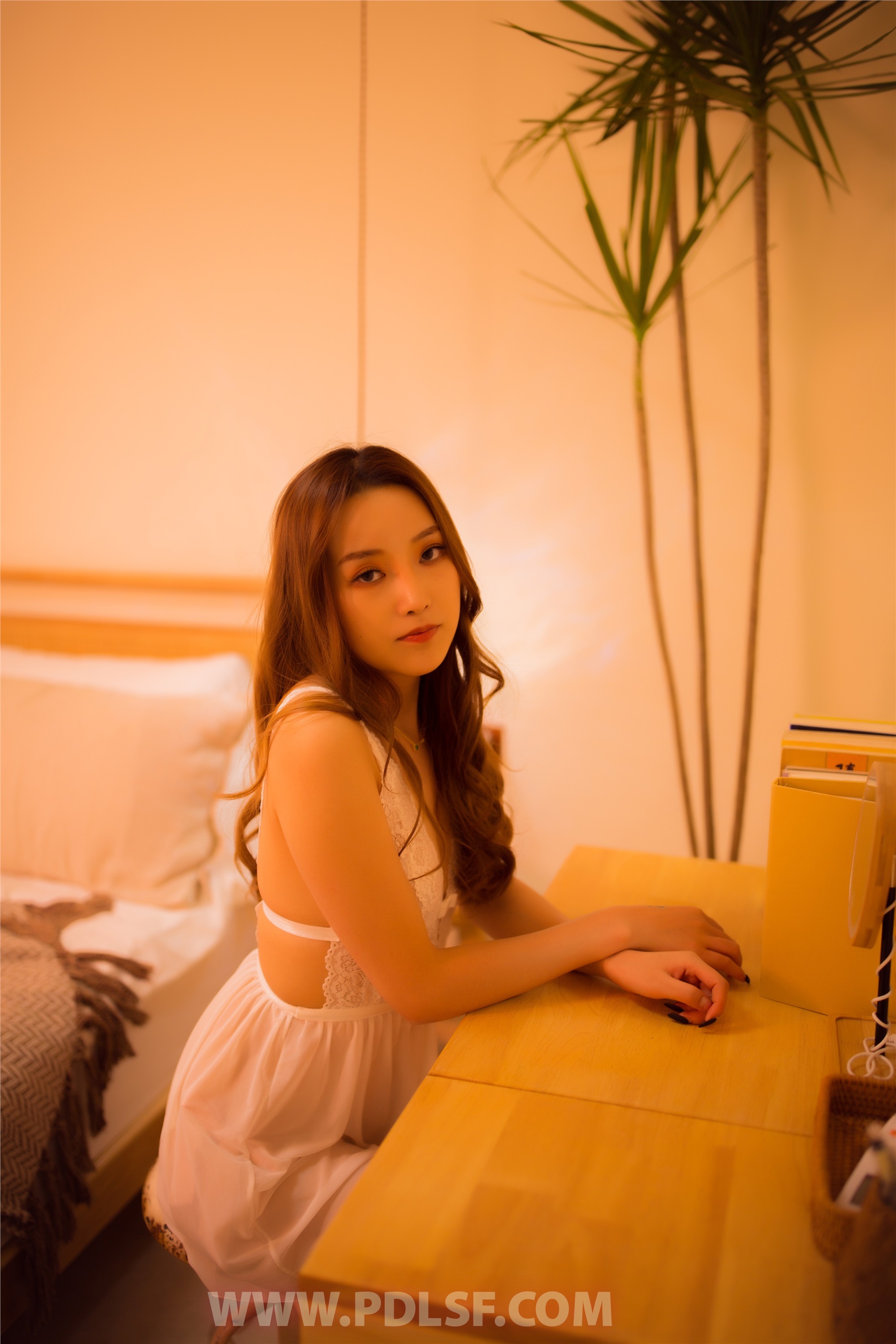 PDL潘多拉 2019.12.21 专辑No.255